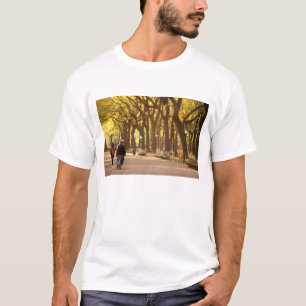 Camiseta América do Norte, EUA, Nova York, Cidade de Nova Y