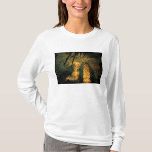 Camiseta América do Norte, EUA, Novo México, Carlsbad