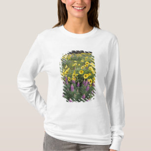 Camiseta América do Norte, EUA, Oregon, Rio Columbia