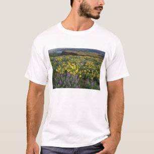Camiseta América do Norte, EUA, Oregon, Rio Columbia 2