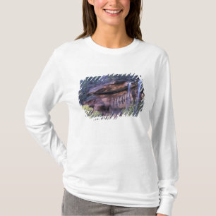 Camiseta América do Norte, EUA, Utah, Parque Nacional Zion.