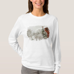 Camiseta America do Norte, EUA, WA, ilha de Whidbey