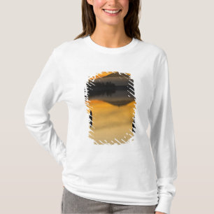 Camiseta América do Norte, EUA, WA, Parque Nacional Olímpic