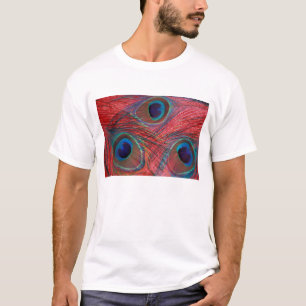 Camiseta América do Norte, EUA, WA, Redmond, Pavão