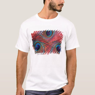 Camiseta América do Norte, EUA, WA, Redmond, Pavão