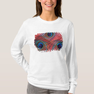 Camiseta América do Norte, EUA, WA, Redmond, Pavão