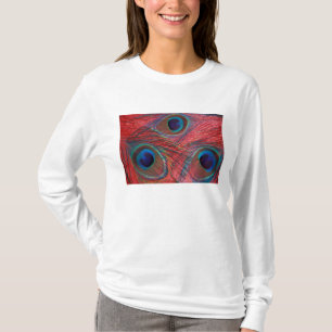 Camiseta América do Norte, EUA, WA, Redmond, Peacock
