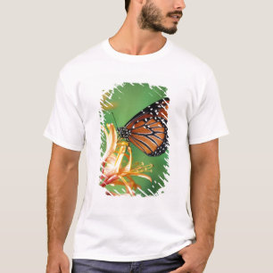 Camiseta América do Norte, EUA, WA, Seattle, Woodland Park