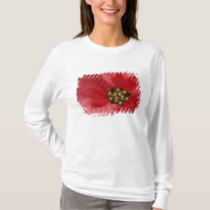 Camiseta América do Norte, EUA, WA, Woodinville, Vermelho 2