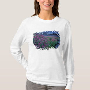 Camiseta América do Norte, EUA, Washington, Mt. Rainier 6