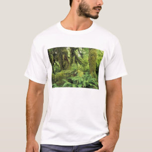 Camiseta América do Norte, EUA, Washington, Olímpico 3