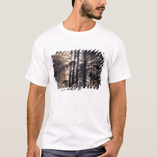 Camiseta América do Norte, EUA, Washington, Olympic NF,