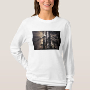 Camiseta América do Norte, EUA, Washington, Olympic NF,