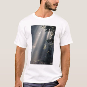 Camiseta América do Norte, EUA, Washington, Olympic NP,