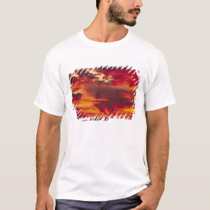 Camiseta América do Norte, EUA, Washington, Seattle. Nascer