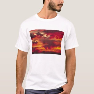 Camiseta América do Norte, EUA, Washington, Seattle. Nascer