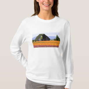 Camiseta América do Norte, EUA, Washington, Vale de Skagit.