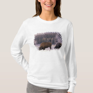 Camiseta América do Norte, EUA, Wyoming, Parque Nacional Ye