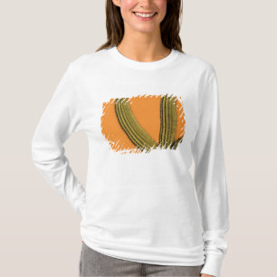 Camiseta América do Norte, México, Baja California, Cabo