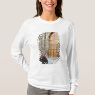 Camiseta América do Norte, México, estado de Guanajuato, Sa