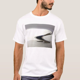 Camiseta América do Sul, Brasil, Brasília.Interior