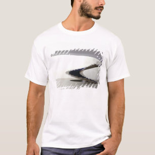 Camiseta América do Sul, Brasil, Brasília. Interior