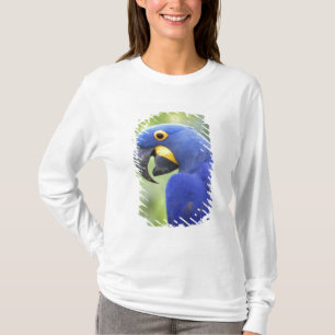 Camiseta América do Sul, Brasil, Pantanal