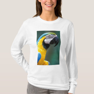 Camiseta América do Sul, Brasil, Parque Nacional do Iguaçu,