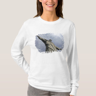 Camiseta América do Sul, Brasil, Rio de Janeiro. Cristo 3