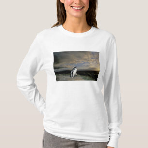 Camiseta América do Sul, Chile, Patagônia, Magellanes,