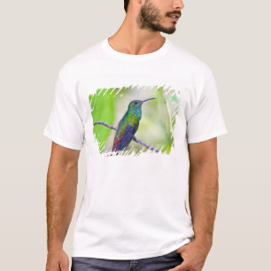 Camiseta América do Sul, Costa Rica, Sarapiqui, La Selva