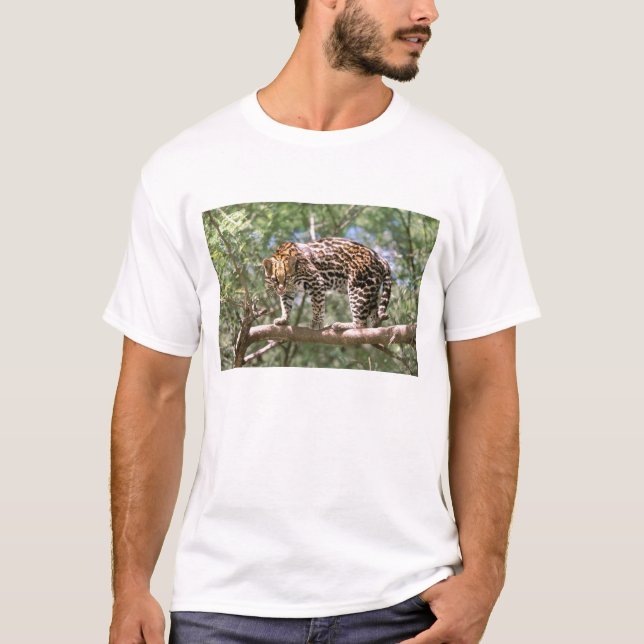 Camiseta América do Sul, Equador, Amazônia. Ocelot (Frente)