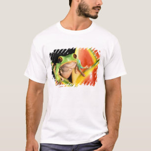 Camiseta América do Sul, Equador, Amazônia. Rã de árvore