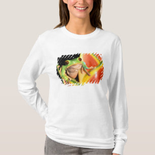 Camiseta América do Sul, Equador, Amazônia. Rã de árvore