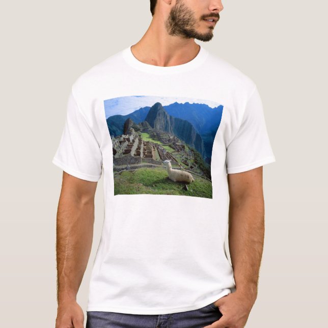 Camiseta América do Sul, Peru. Uma lhama descansa em uma co (Frente)