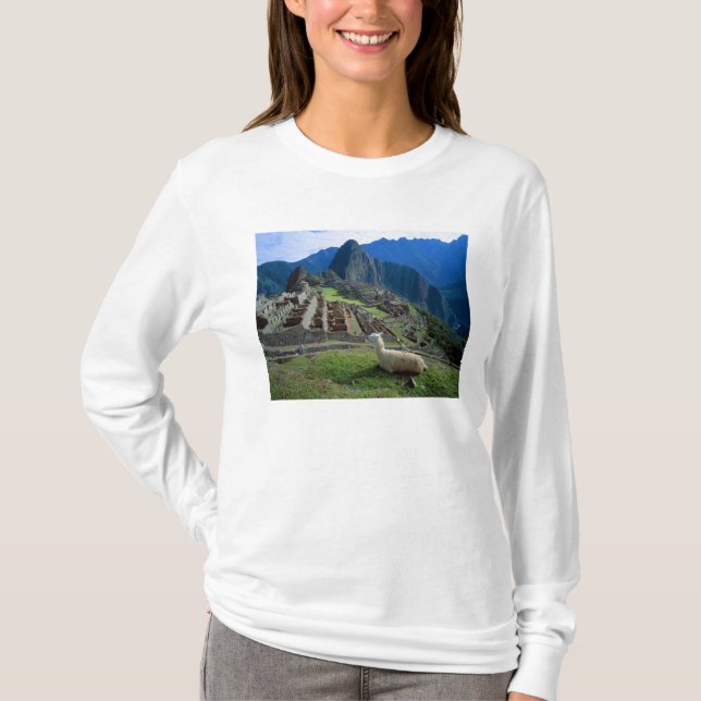 Camiseta América do Sul, Peru. Uma lhama descansa em uma co (Frente)