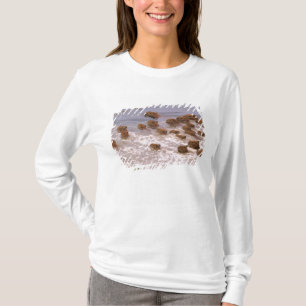 Camiseta América do Sul, Venezuela, região de Llano.