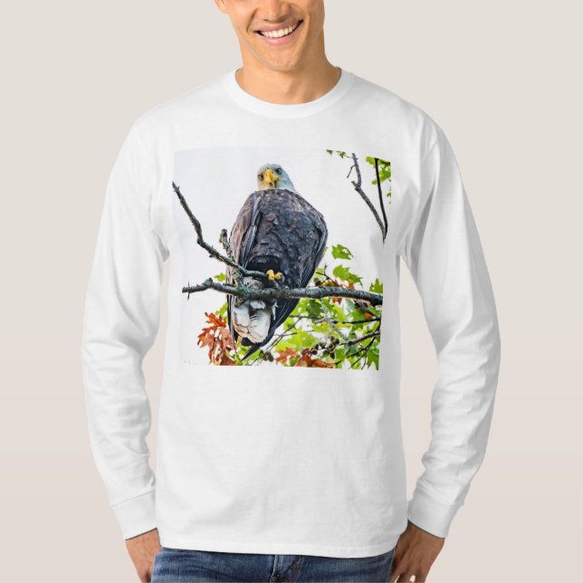 Camiseta América, Excelente Bald Eagle Stare Down (Frente)