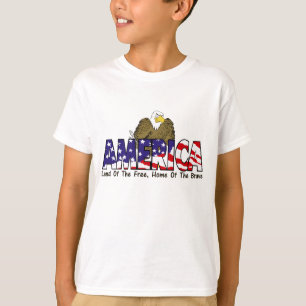 Camiseta American Eagle T-Shirt