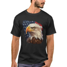 American Flag Bald Eagle