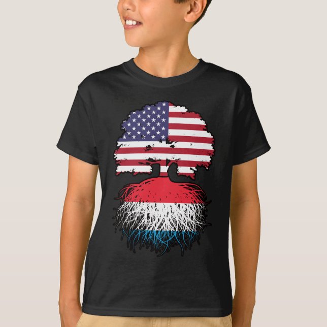 Camiseta American Flag Roots, EUA, Luxemburgo (Frente)