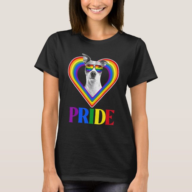 Camiseta American Pitbull Orgulho Arco-Íris (Frente)