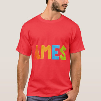 Camiseta Ames1