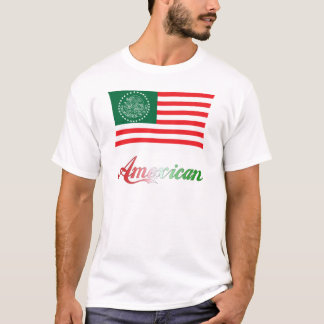 Camiseta Amexican