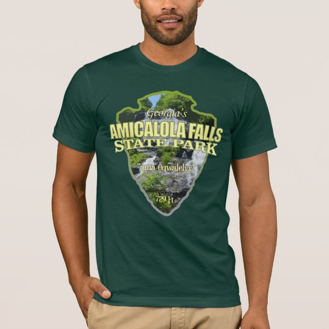 Camiseta Amicalola Falls (flecha) (Frente)
