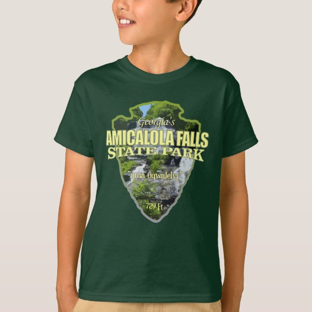Camiseta Amicalola Falls (flecha) (Frente)