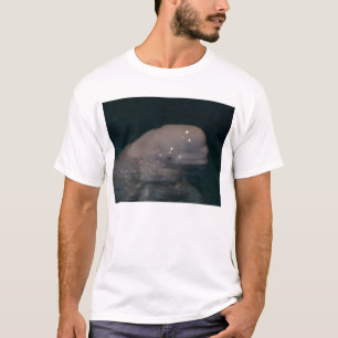 Camiseta amigo a beluga
