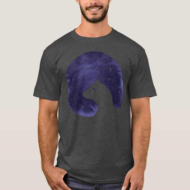 Camiseta Amigo de Amor Estelar (Frente)