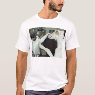 Camiseta amigos
