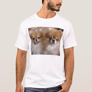 Camiseta Amigos de Pomeranian